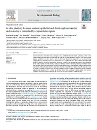 In vitro plasticity between ureteric epithelial and distal nephron identity and maturity is controlled by extracellular signals