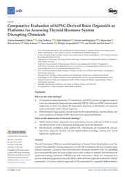 Comparative Evaluation of hiPSC-Derived Brain Organoids as Platforms for Assessing Thyroid Hormone System Disrupting Chemicals