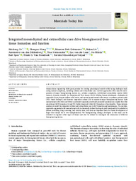 Integrated mesenchymal and extracellular cues drive bioengineered liver tissue formation and function