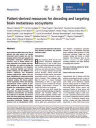 Patient-derived resources for decoding and targeting brain metastases ecosystems