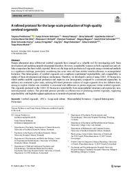 A refined protocol for the large-scale production of high-quality cerebral organoids