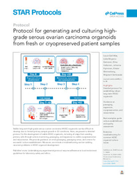 New: Protocol for generating and culturing high-grade serous ovarian carcinoma organoids from fresh or cryopreserved patient samples
