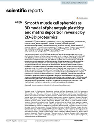 Smooth muscle cell spheroids as 3D model of phenotypic plasticity and matrix deposition revealed by 2D–3D proteomics