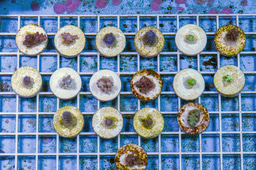 Ocean Conservation & Equity Policy Consultant Here! 