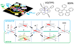 Quantum sensing of magnetic fields with molecular spins