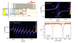Perfect Absorption in Hyperfine Levels of Molecular Spins with Hermitian Subspaces