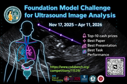 ISBI 2026 Challenge: Foundation Model Challenge for Ultrasound Image Analysis 