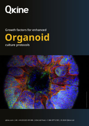 Growth factors for enhanced organoid culture protocols