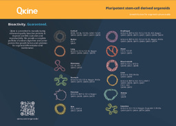 Qkine Pluripotent Organoid Growth Factors