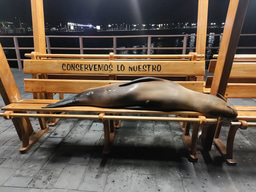 Yanna, behaviour centered research & design