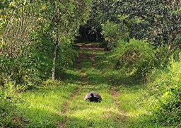 Community conservation programs: best practices & challenges