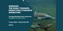 Free webinar: The Road Towards Predicting Sturgeon Migration