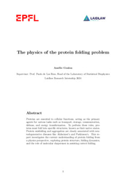 Research Report - The physics of the protein folding problem