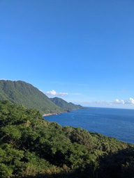 LiA Summary: Sustainability and Shinrin-yoku in Yakushima, Japan