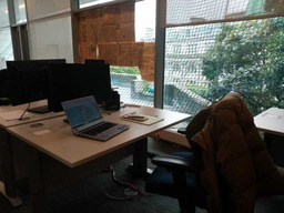 From a History of Art lecture hall to field-surveying Māori pā on Urupukapuka Island: Summer 1 Blog