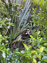 Navigating New Terrain: My LiA Journey in Aotearoa