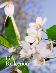 Deliverable 3: LiA Reflection