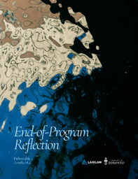 Deliverable 5: End-of-Programme Reflection