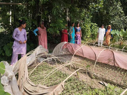 10 Things I Learned About Nepal During My LIA