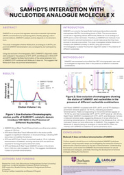 Research Poster: SAMHD1's interaction with nucleotide analogue molecule X