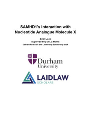 Research report: SAMHD1's Interaction with Nucleotide Analogue Molecule X