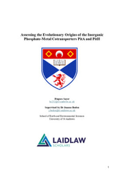 Research Essay - Assessing the Evolutionary Origins of the Inorganic Phosphate-Metal Cotransporters PitA and PitH