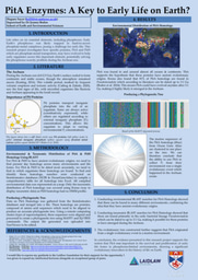 Research Poster - PitA Enzymes: A Key to Early Life on Earth?