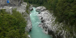 Steve Jobs’ Recipe to Success: The Rollercoaster Method