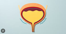 Initial Project Proposal 