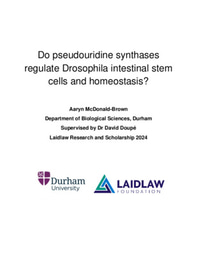 Laidlaw Project Report