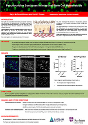 Research Project Poster