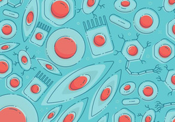 Project Outline: Regulation of epithelial stem cells in health and disease