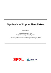 Report - Synthesis of Copper Nanoflakes