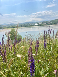 LIA Week 3 🌞🪻🕯️