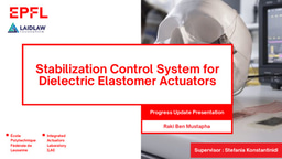 Progress Update Presentation - Stabilization Control System for Dielectric Elastomer Actuators