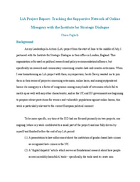 LiA Project Report: Tracking the Supportive Network of Online Misogyny with the Institute for Strategic Dialogue
