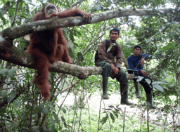 Project Outline: Human-Environment Interactions in Indonesian Borneo
