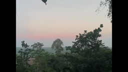 LiA Reflection: Continuity & Change In Indonesia's New Capital City