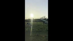 Vlog! Empowering Boston Through Tech Education