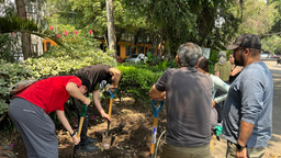 Week 5: Leadership-in-Action make_sense: Mexico