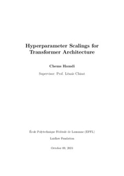 Hyperparameter Scalings for Transformer Architecture [ Report ]