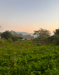 Tiwonana Malawi (See you later)