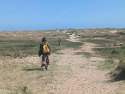 Reflection essay- my Laidlaw journey