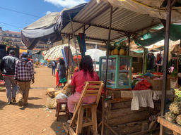  EFESS: Development of External Food Environment Surveillance Systems Using a Tele-cohort of Informal and Formal Food Vendors in  Two Secondary Cities in Kenya