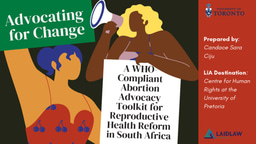 LiA Presentation Slides