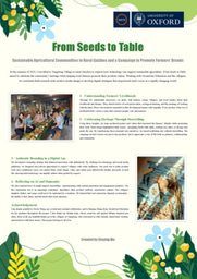 From Seeds to Table Creative Output