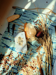 Week 4 LiA in Guizhou