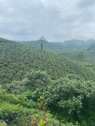 CraftHER by SWARA 2025 LiA- Week 5 reflection (Collaboration)