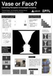 Vase or Face? [Research Poster]