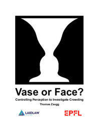 Vase or Face? [Report]